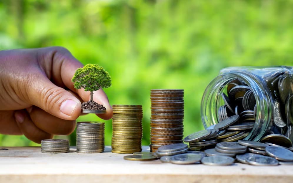 Expert Financial Guidance image